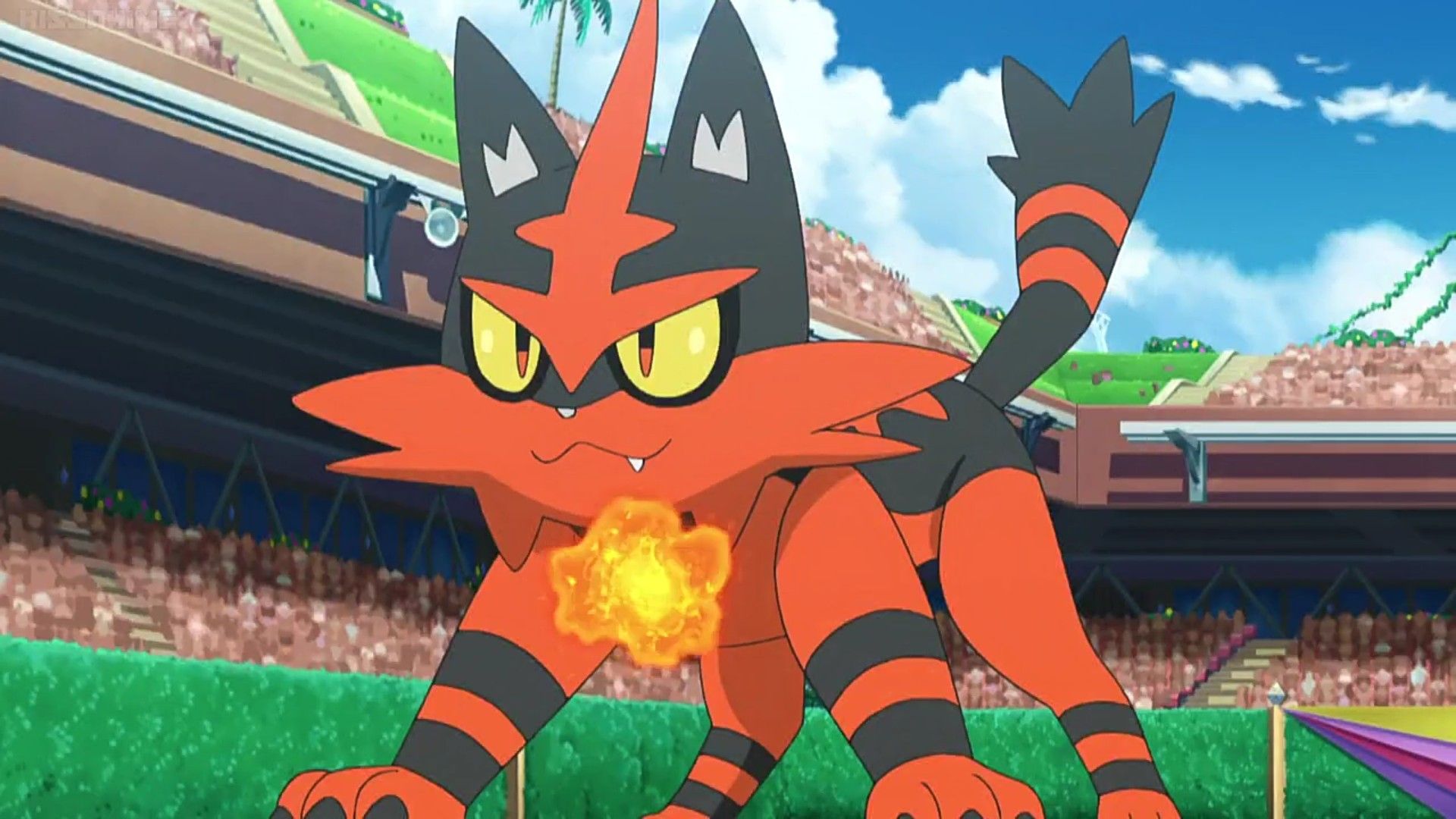 Torracat Hd Wallpapers