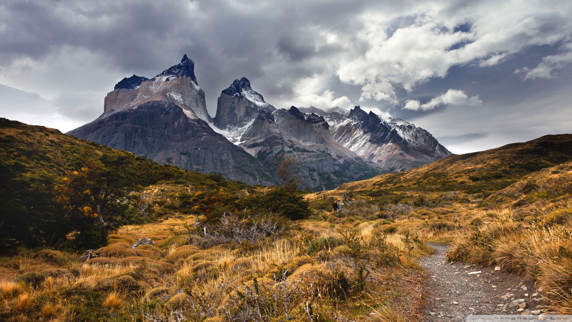 Torres Del Paine 4K Wallpapers