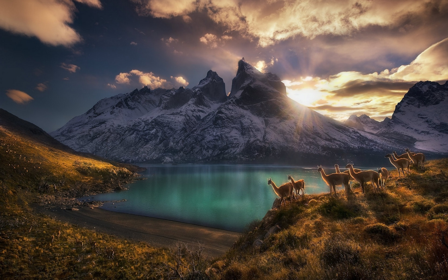 Torres Del Paine 4K Wallpapers