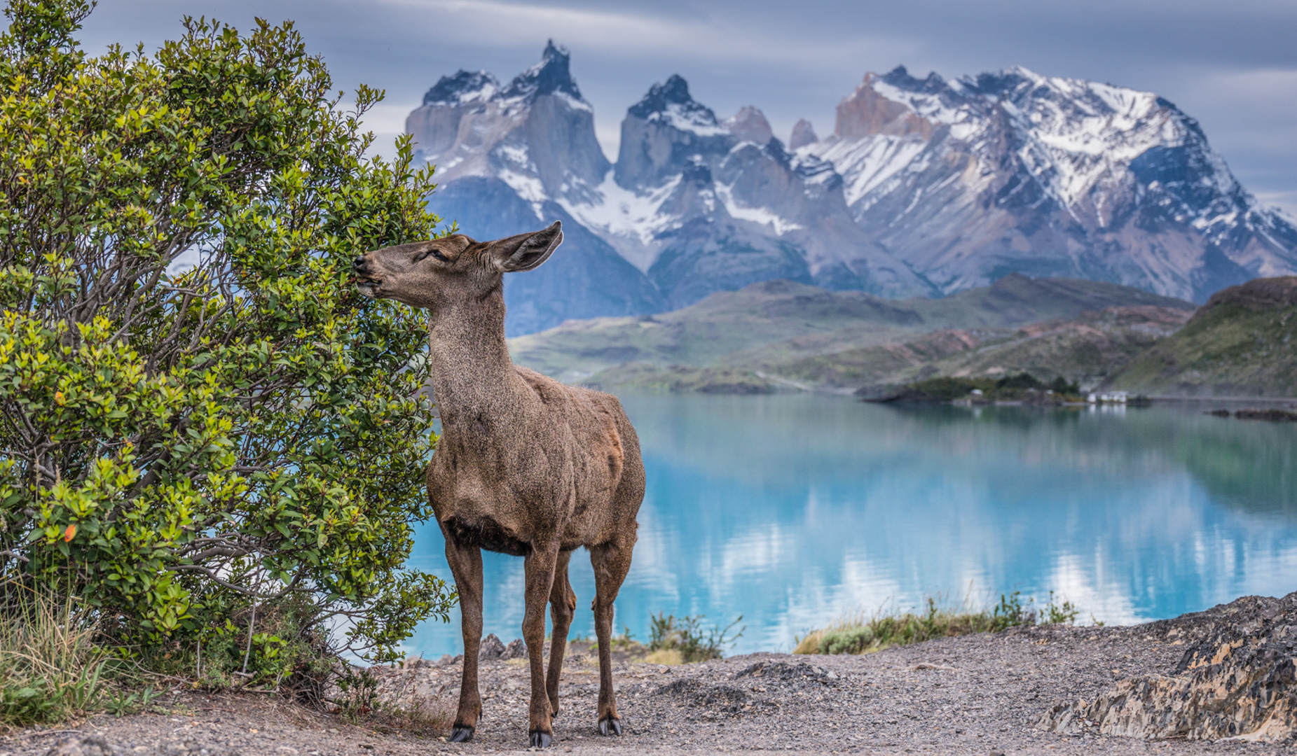 Torres Del Paine National Park Wallpapers