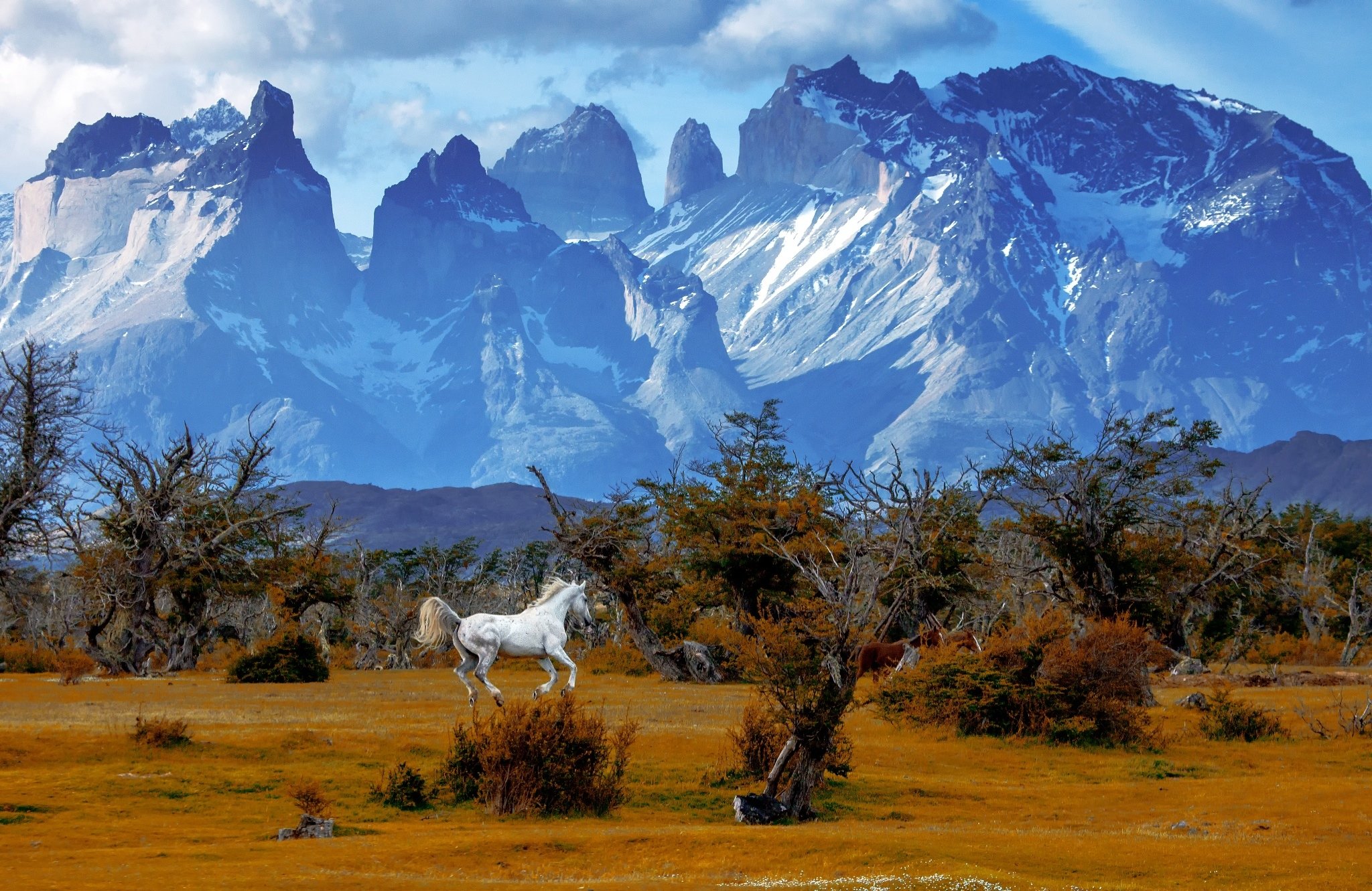 Torres Del Paine Wallpapers