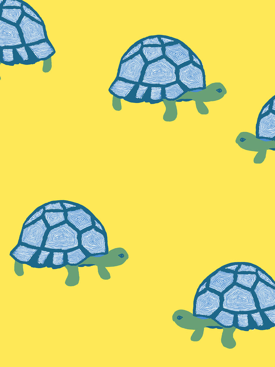 Tortoise Wallpapers