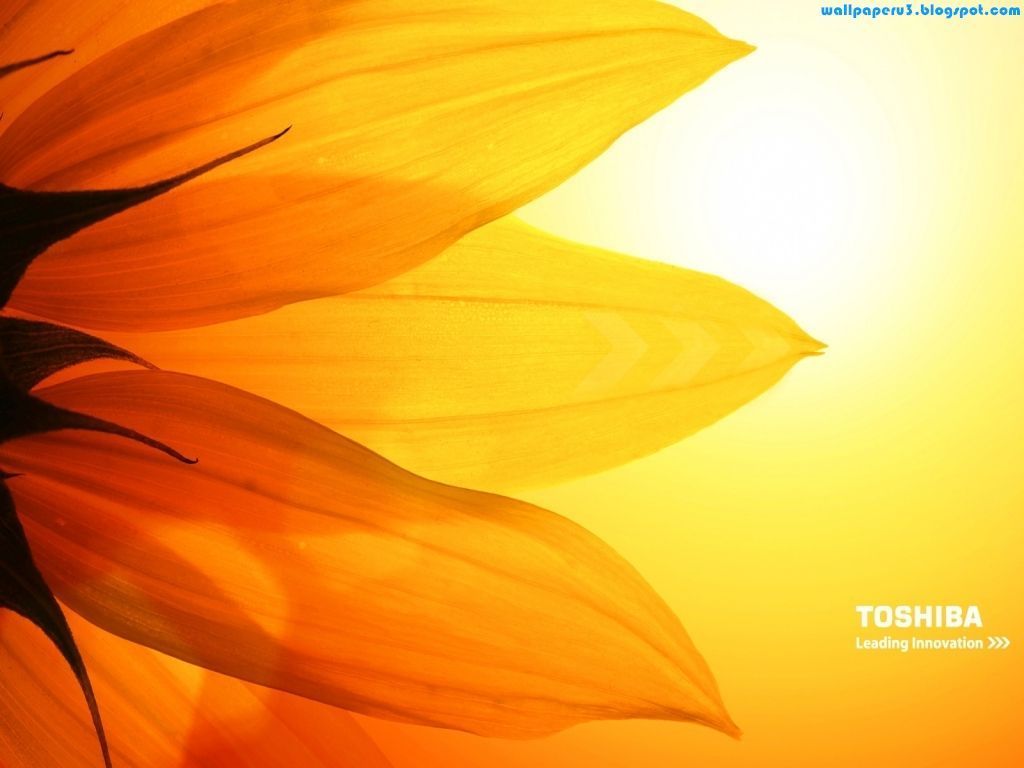 Toshiba Satellite Wallpapers