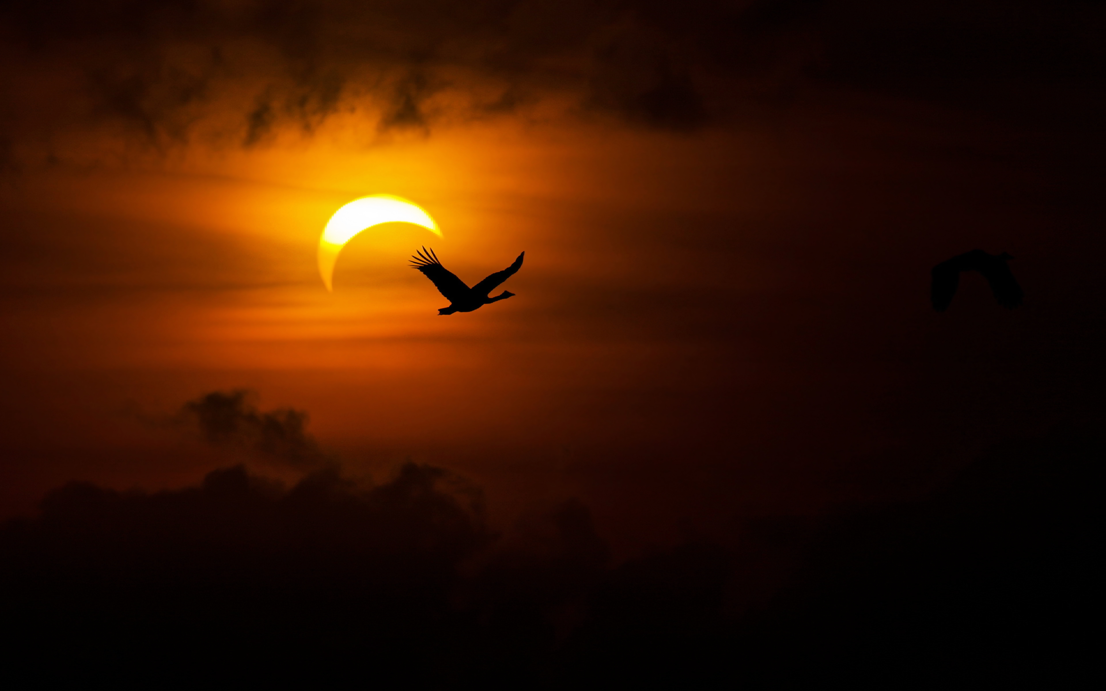 Total Solar Eclipse Wallpapers