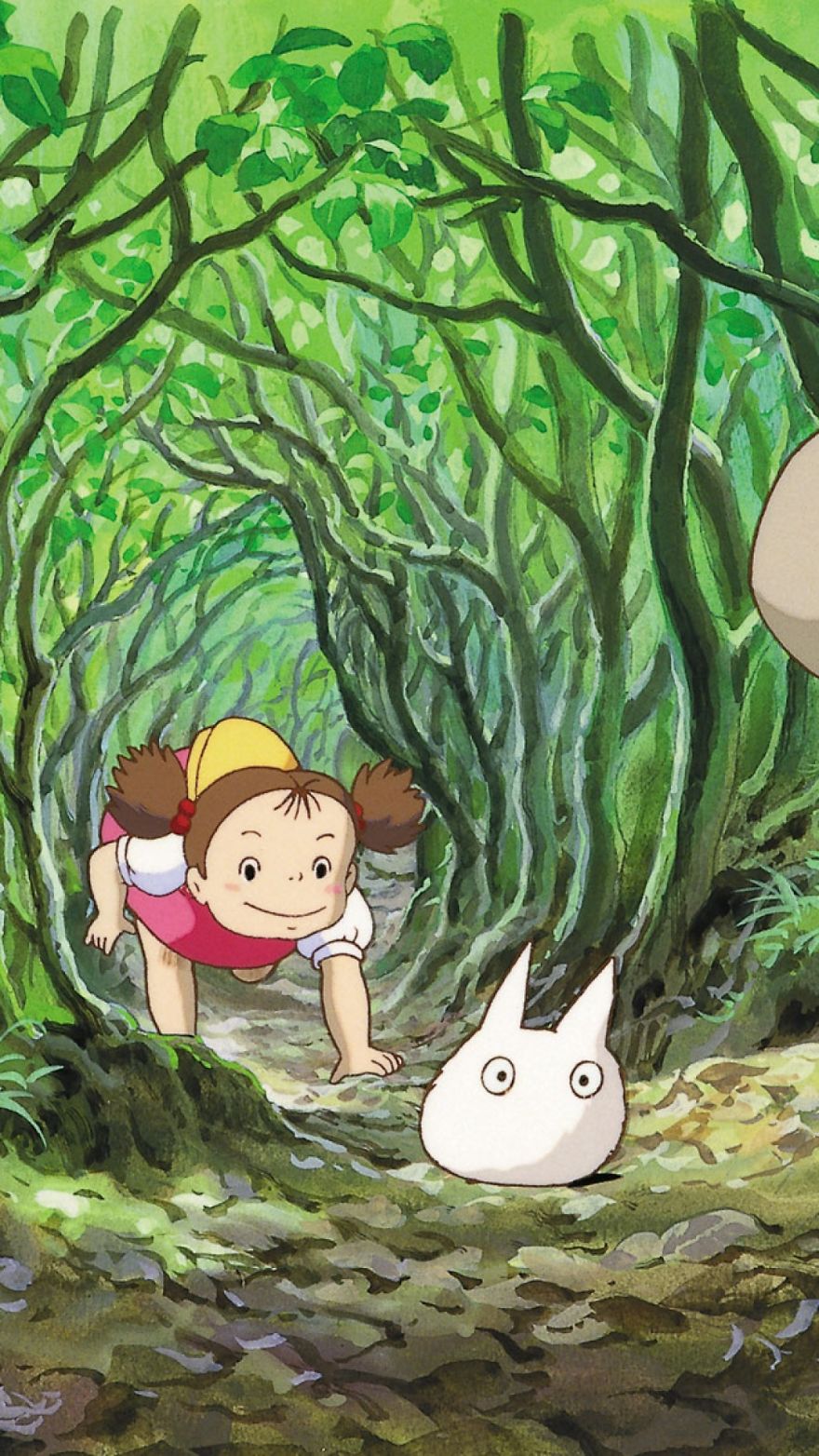 Totoro Iphone Wallpapers