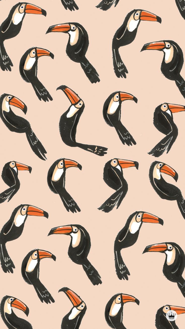 Toucan Wallpapers