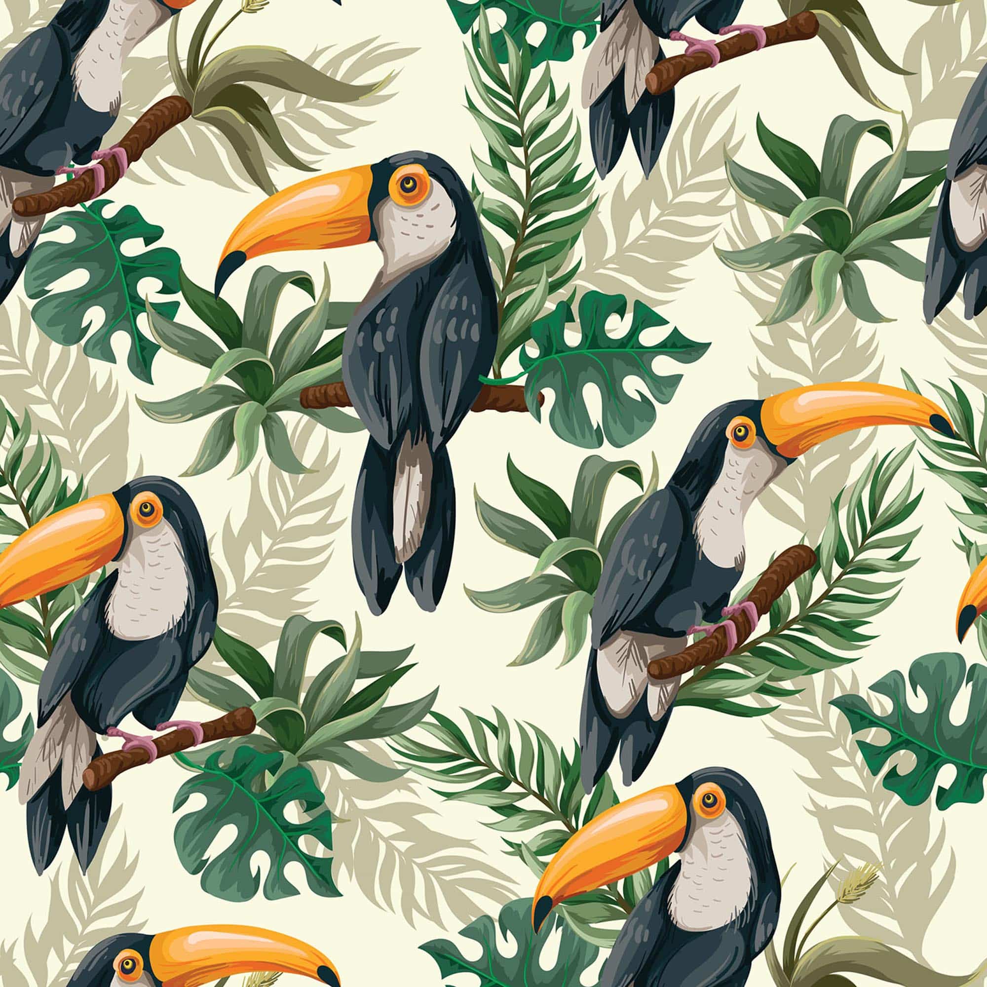 Toucan Wallpapers