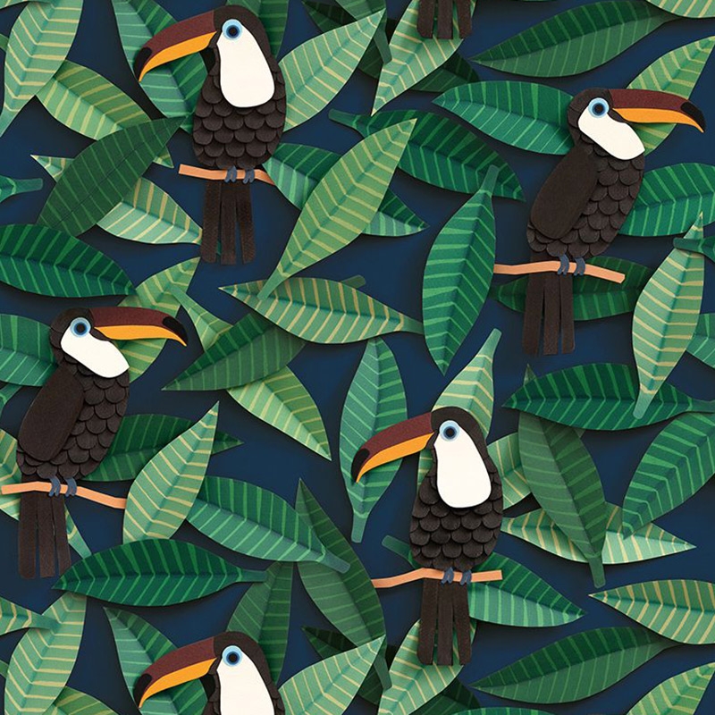 Toucan Wallpapers