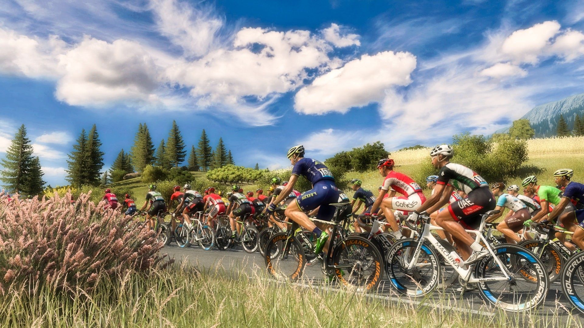 Tour De France Wallpapers