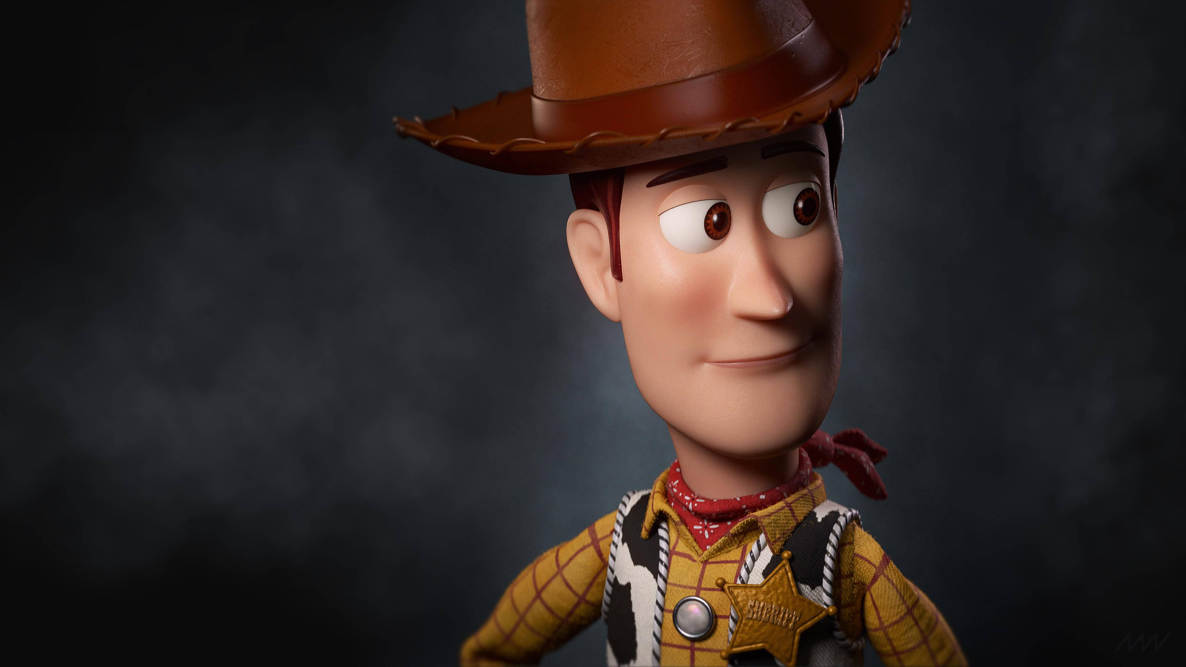 Toy Story Woody Background