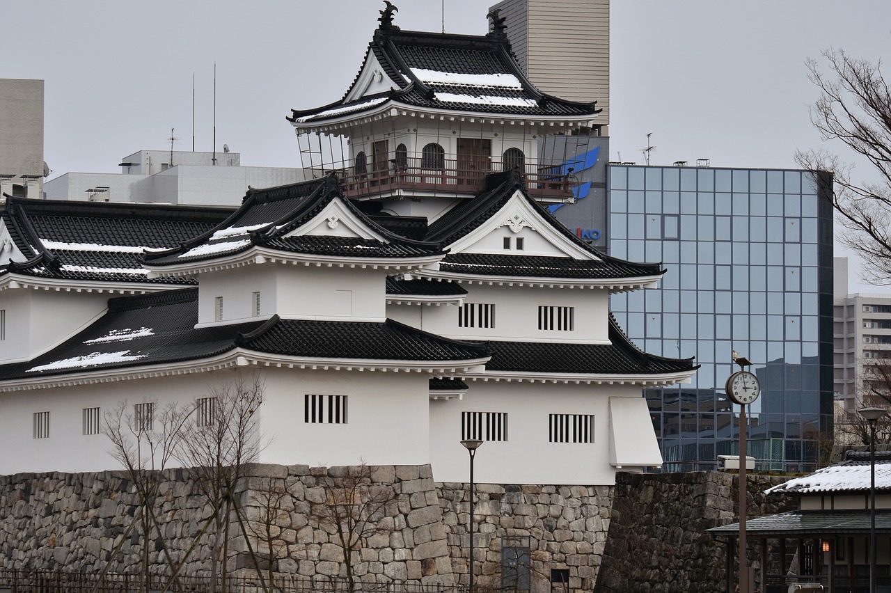 Toyama Castle Wallpapers