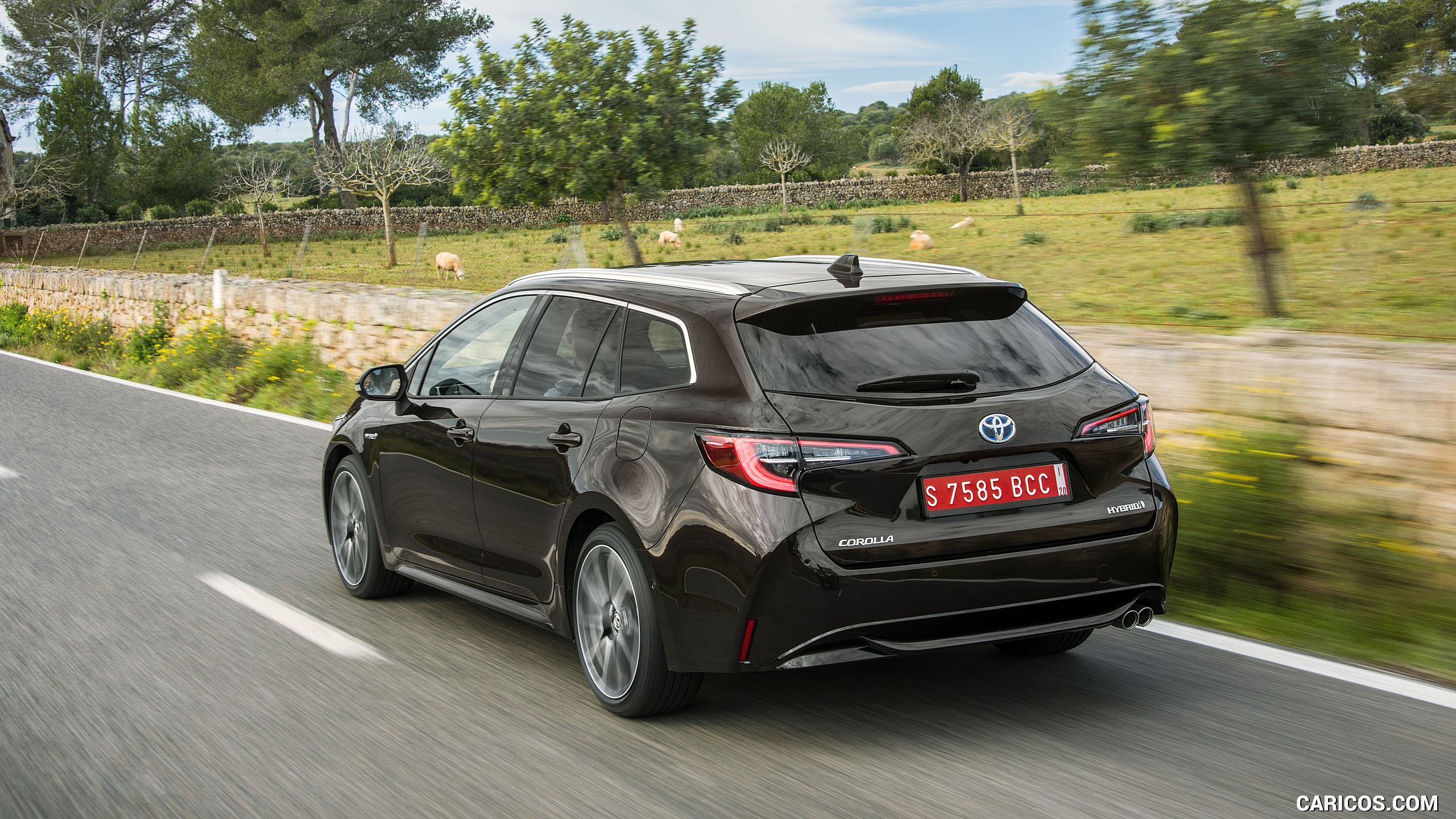 Toyota Corolla Touring Sports Hybrid Wallpapers