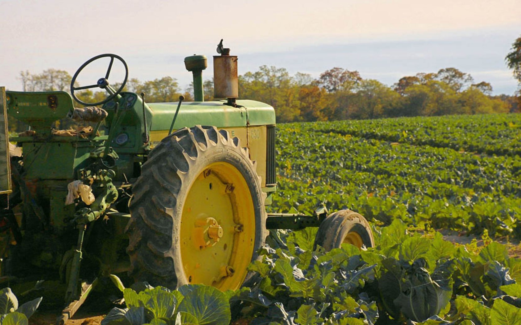 Tractor Background