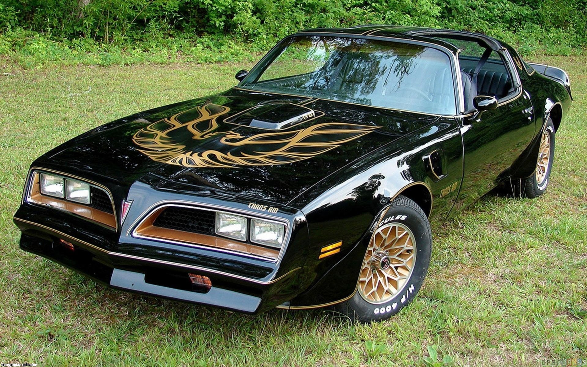 Transam Wallpapers