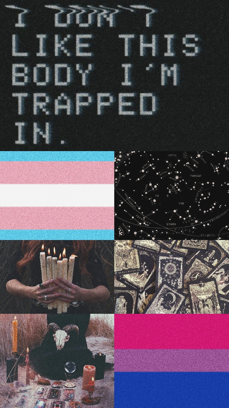 Transgender Wallpapers