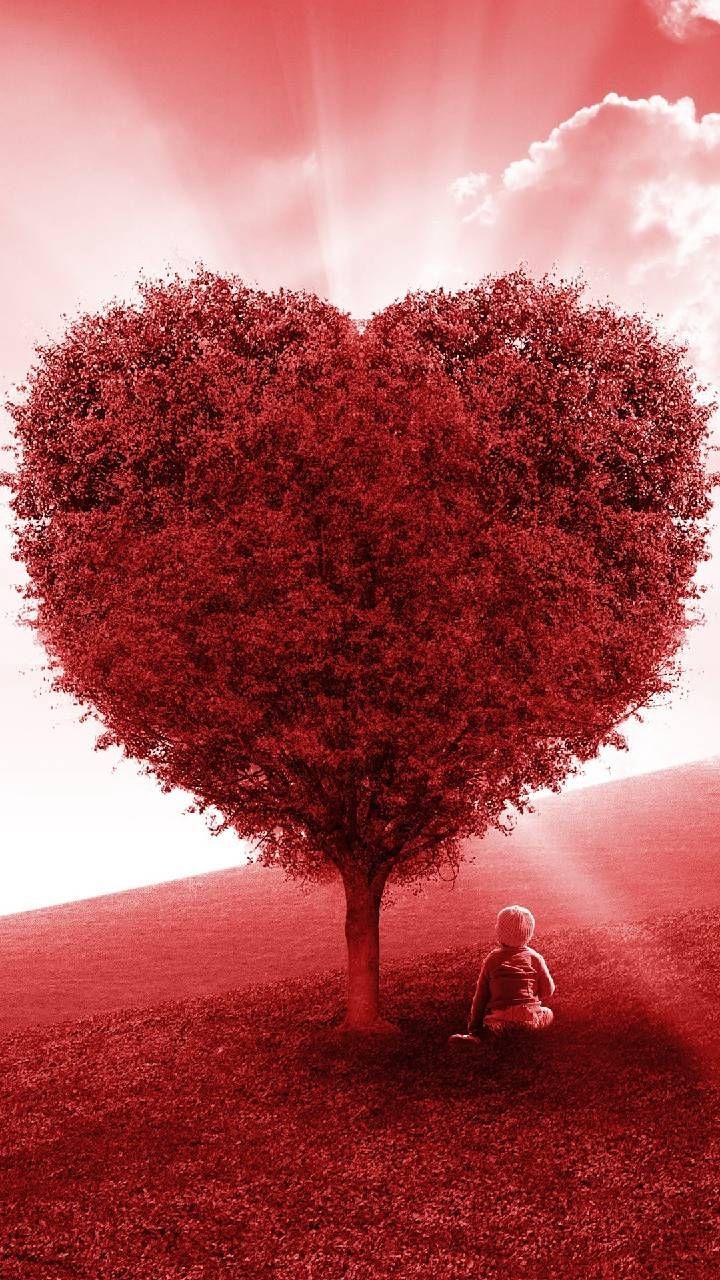 Tree For Love Wallpapers