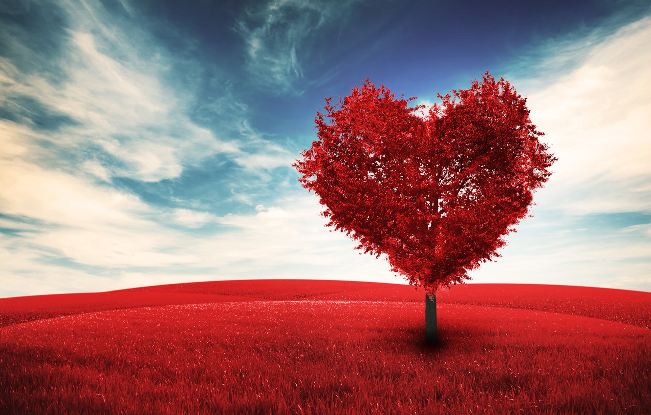 Tree For Love Wallpapers