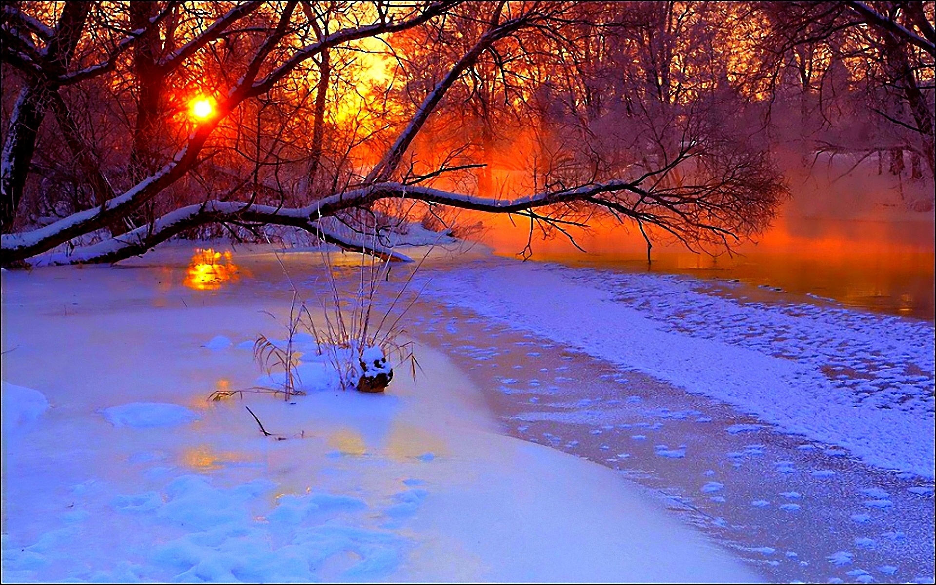 Tree In Snow Winter Sunset Wallpapers