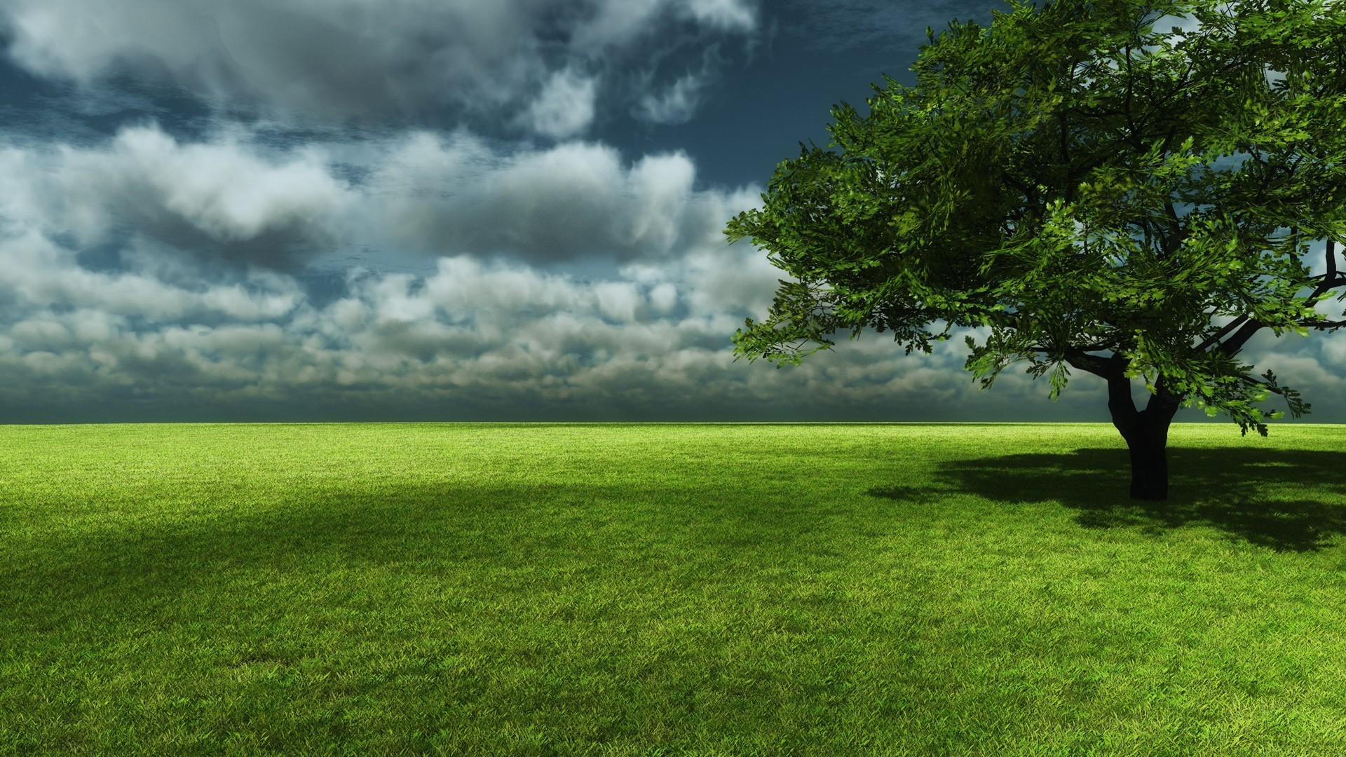 Tree Landscape Wallpapers