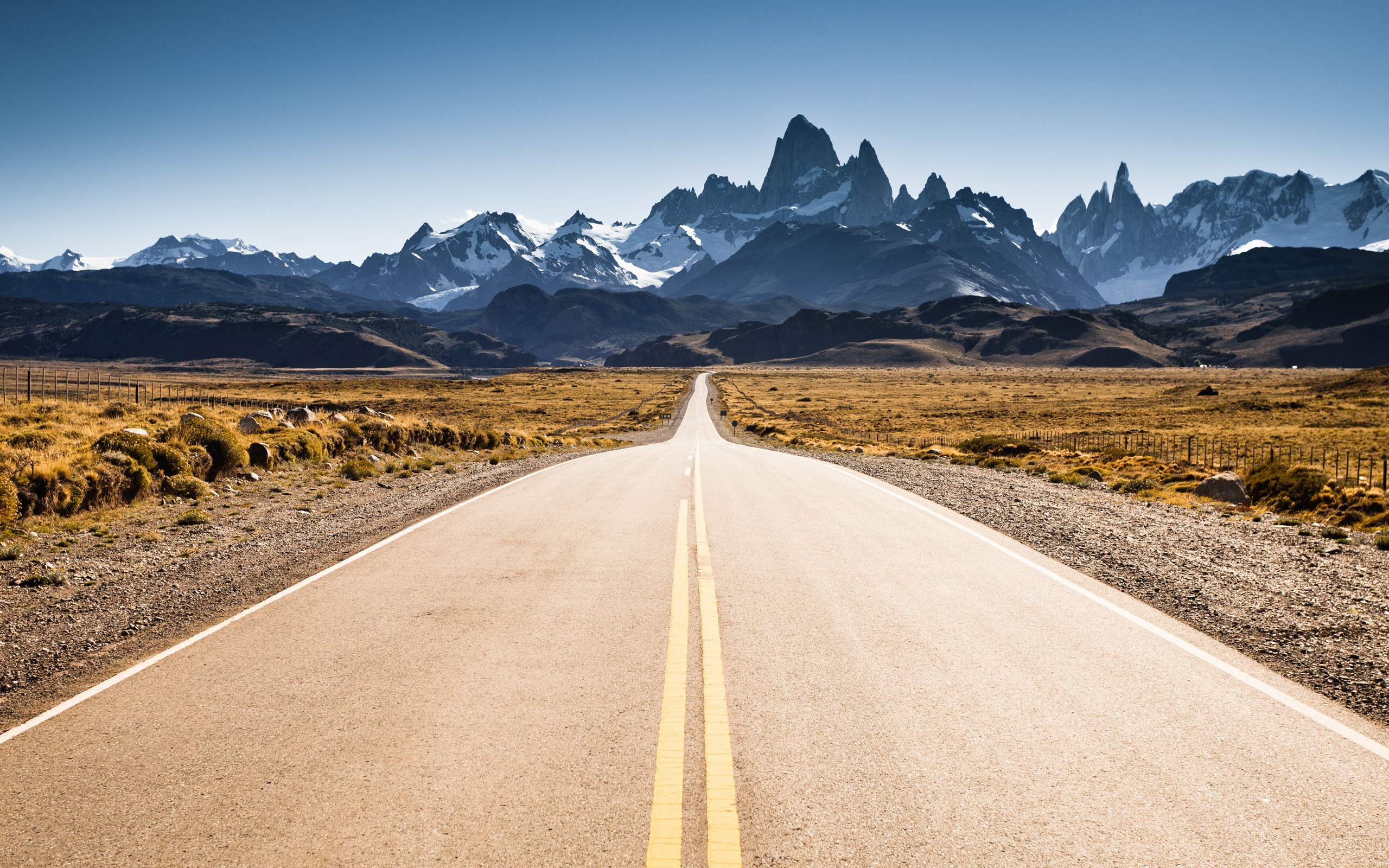 Tree-Lined Empty Road Wallpapers