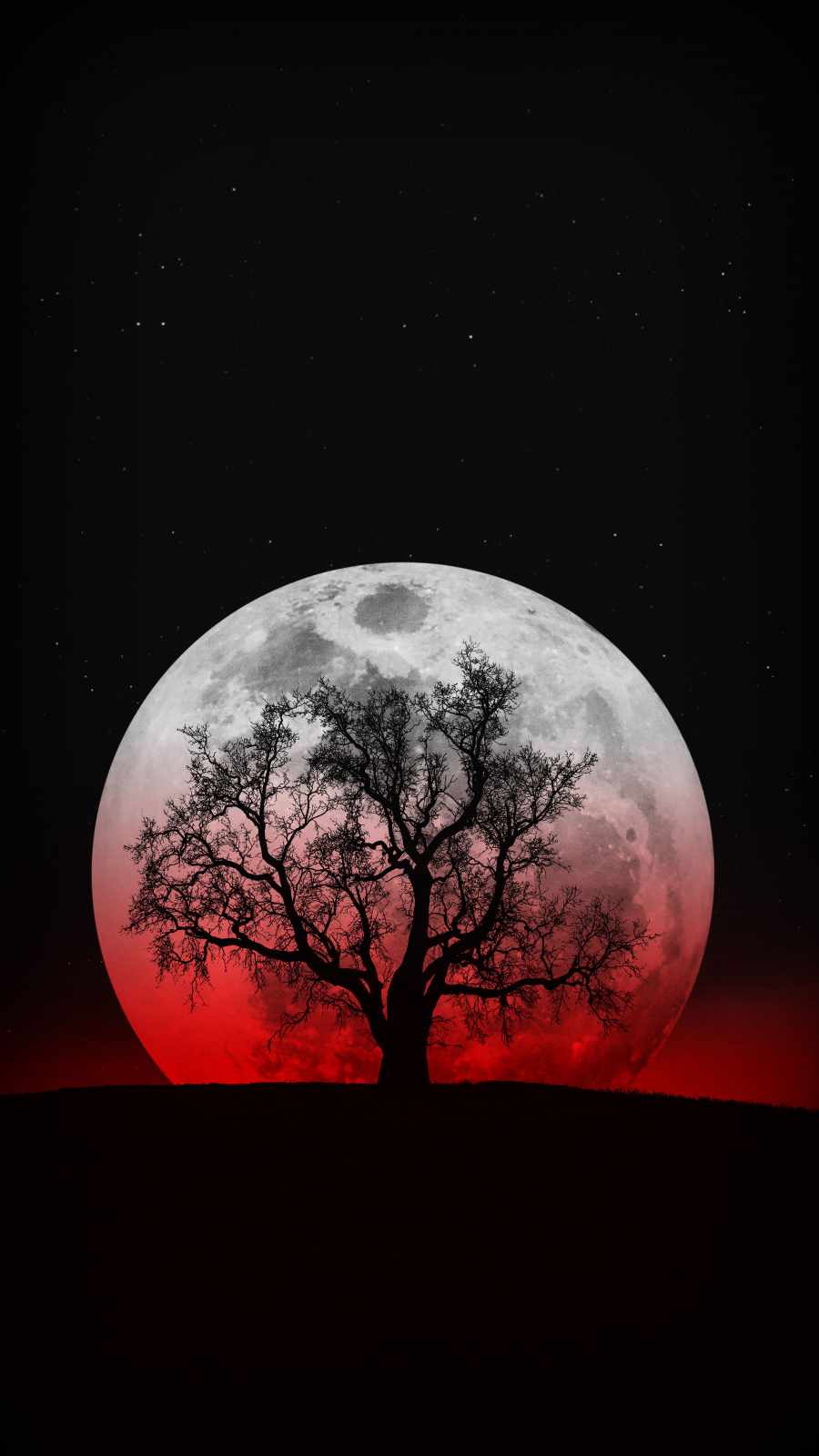 Tree Minimal Moon Wallpapers