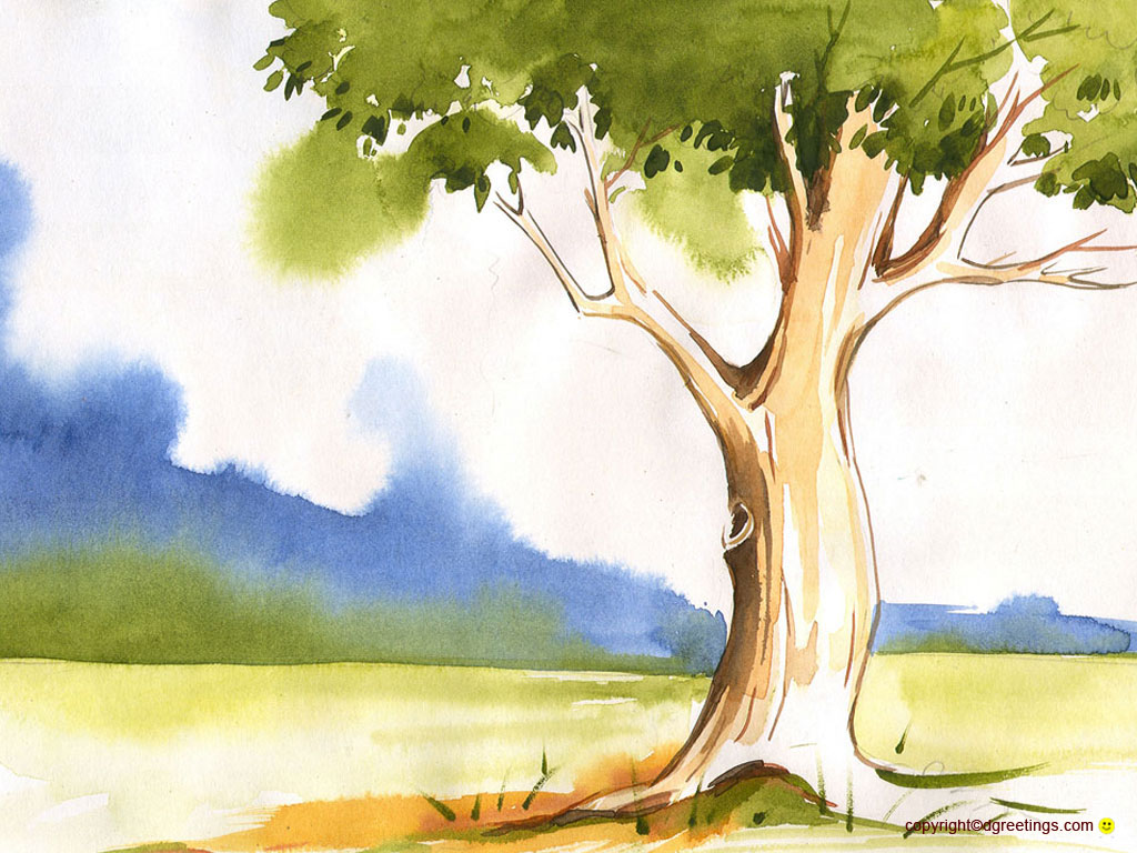 Tree Painting Images Wallpapers