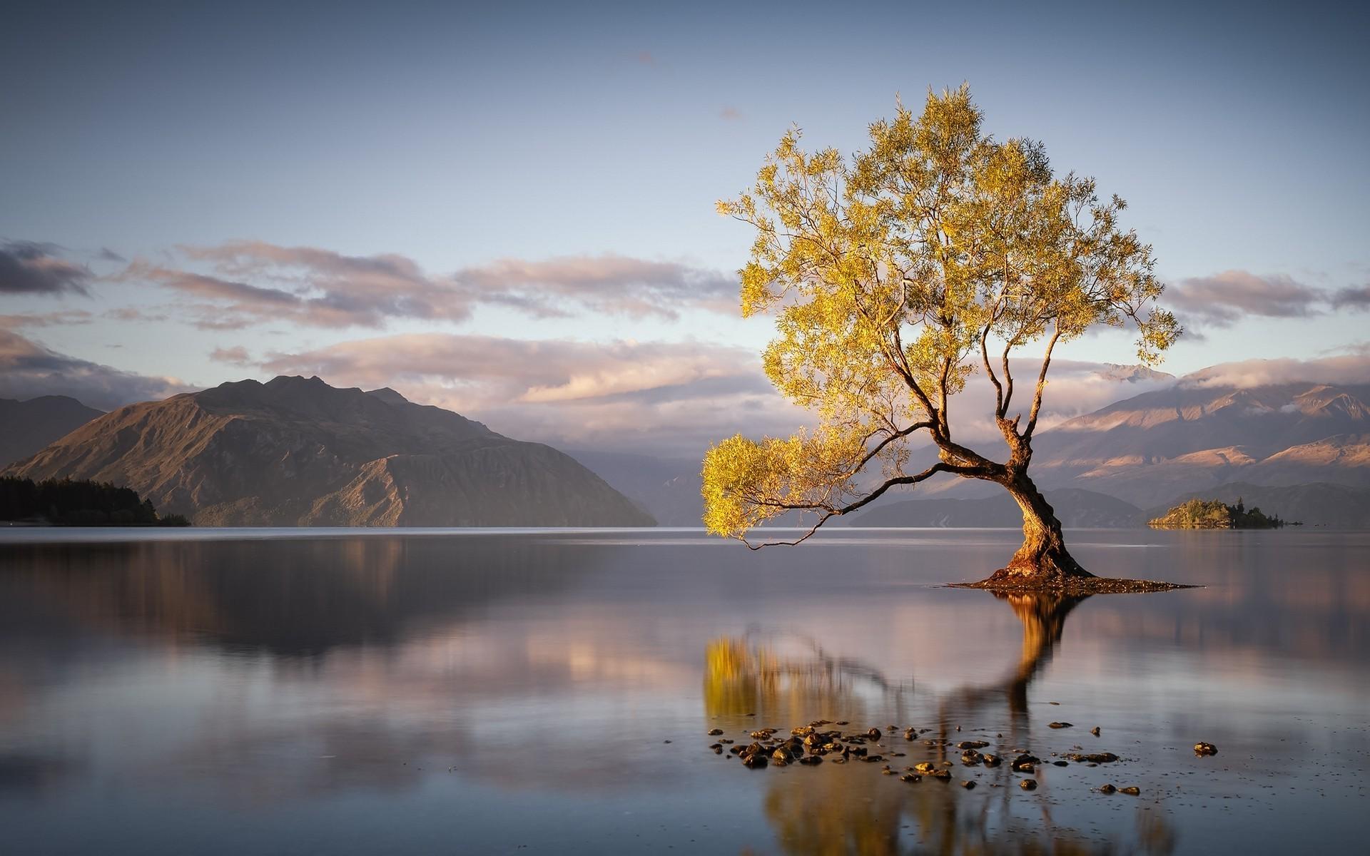 Tree Reflection In Lake Wallpapers