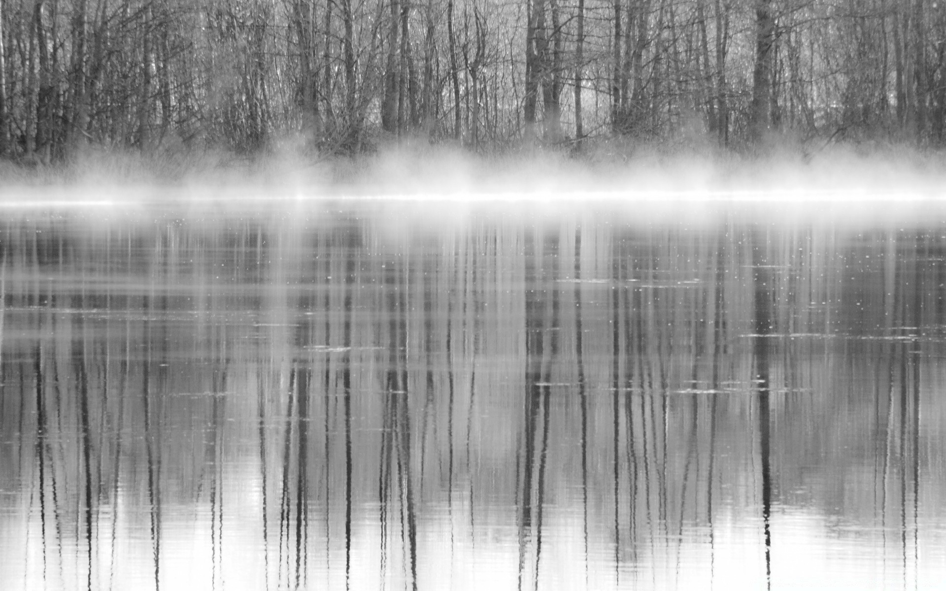 Tree Reflection In Lake Wallpapers