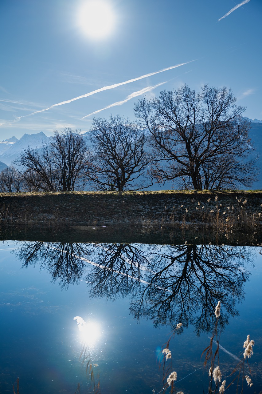 Tree Reflection In Lake Wallpapers