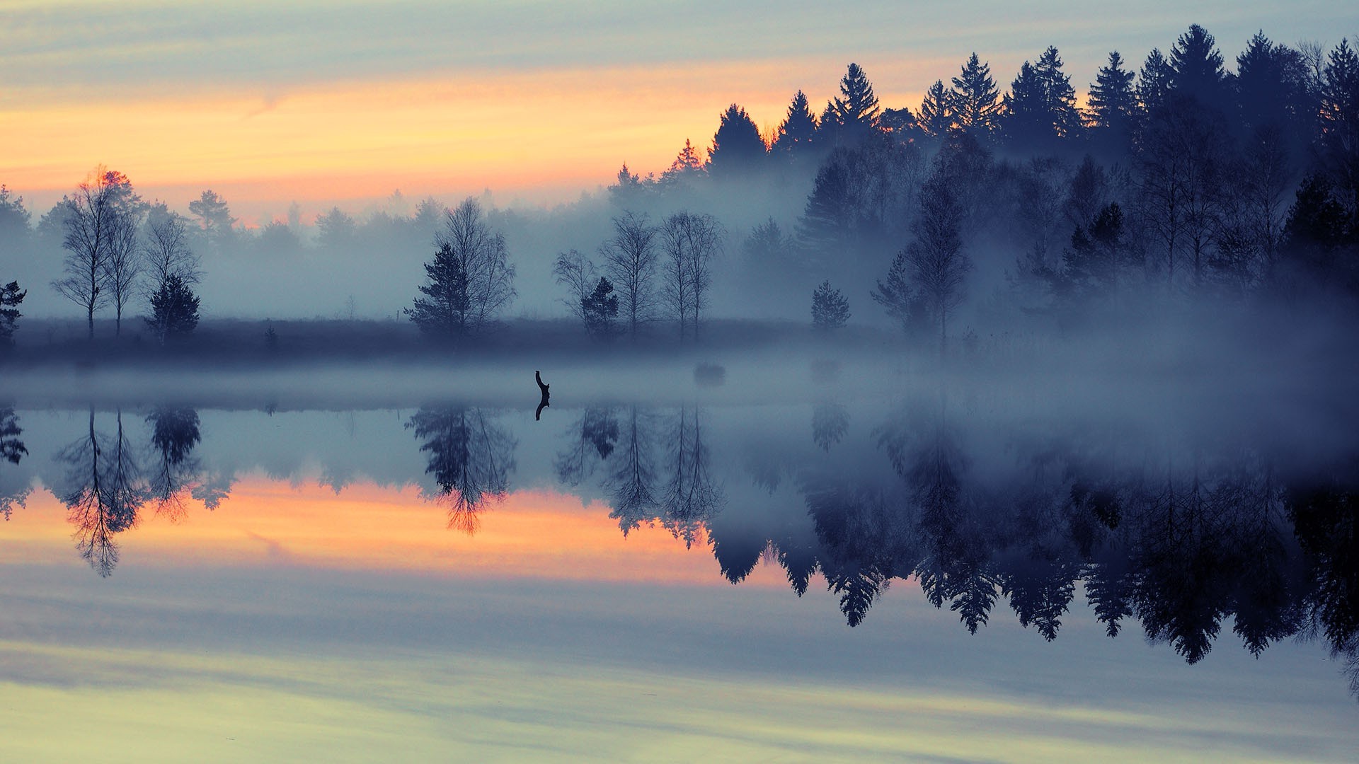 Tree Reflection In Lake Wallpapers