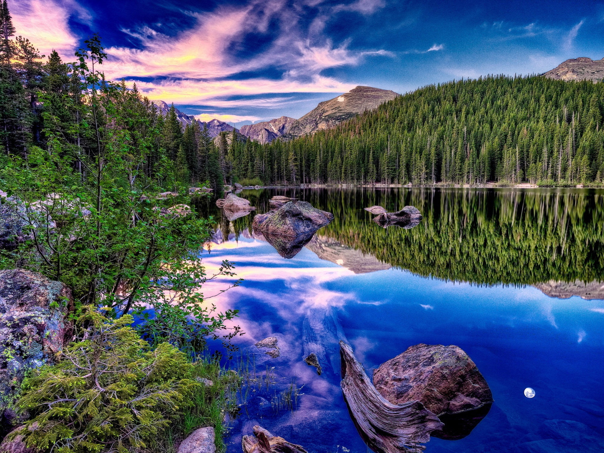 Tree Reflection In Lake Wallpapers