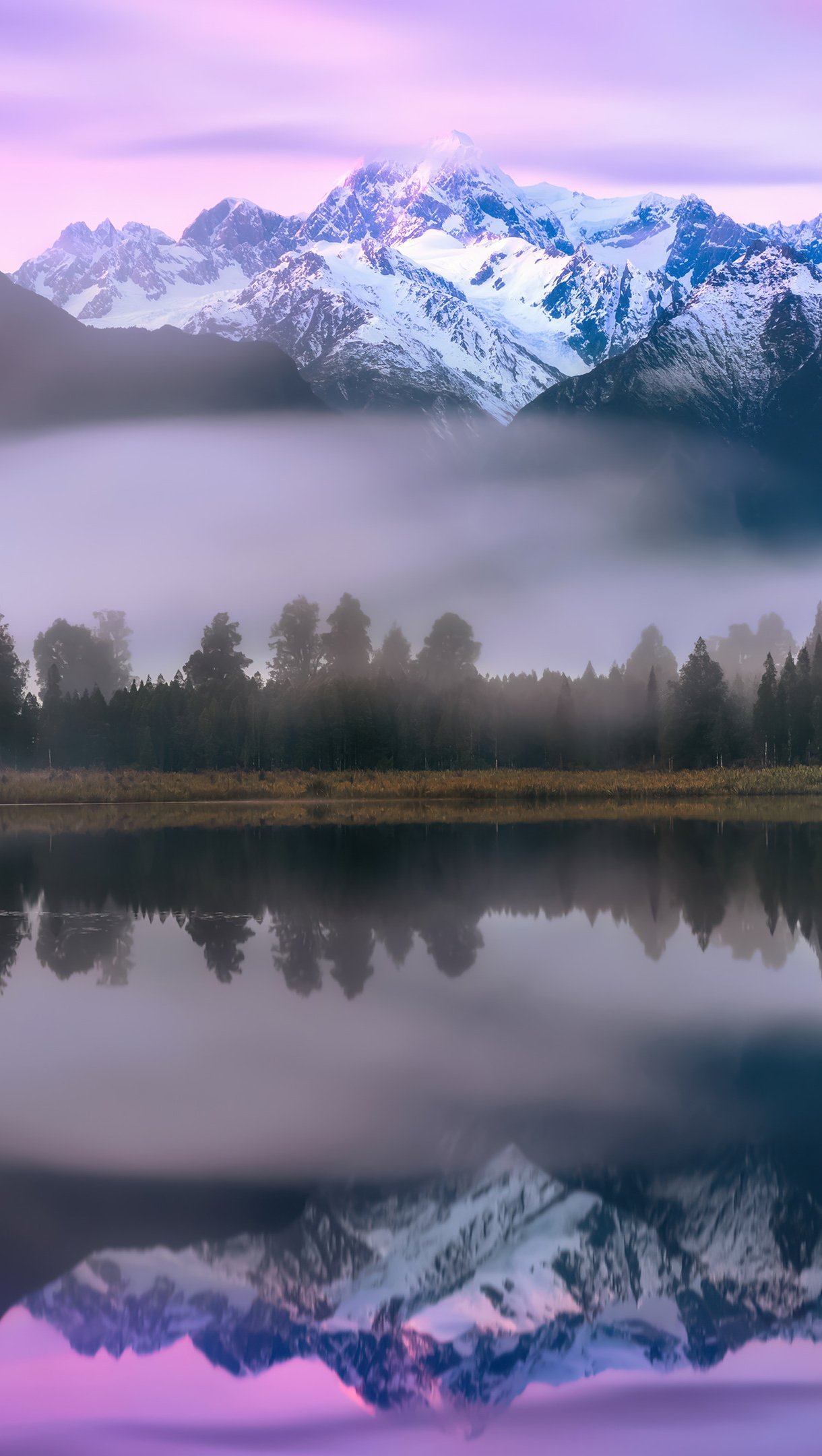 Tree Reflection In Lake Wallpapers