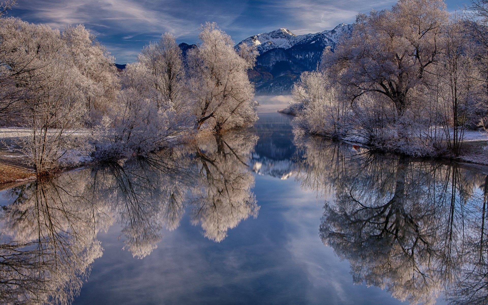 Tree Reflection In Lake Wallpapers