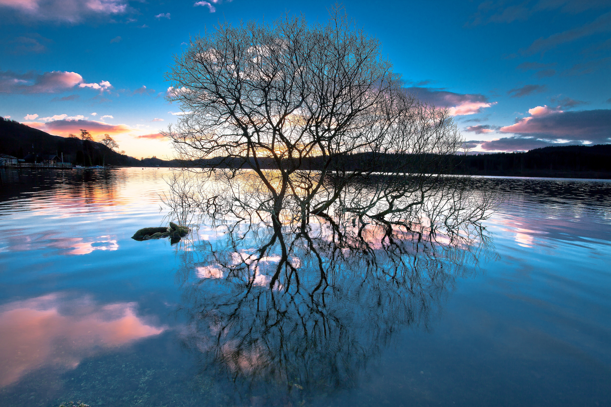 Tree Reflection In Lake Wallpapers