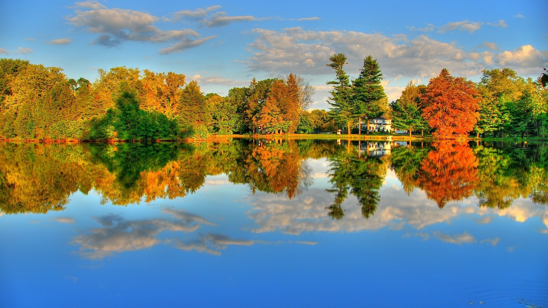 Tree Reflection In Lake Wallpapers