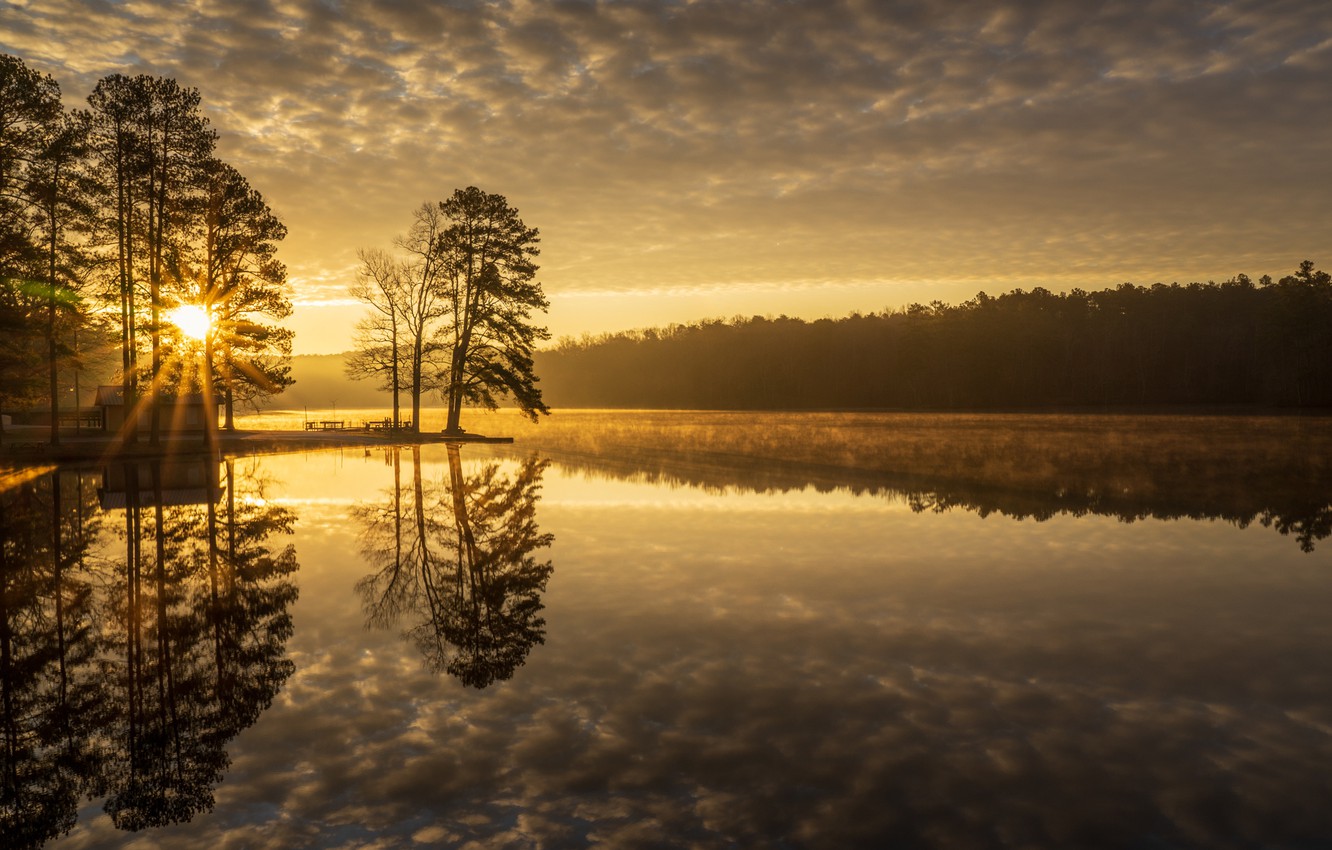 Tree Reflection In Lake Wallpapers