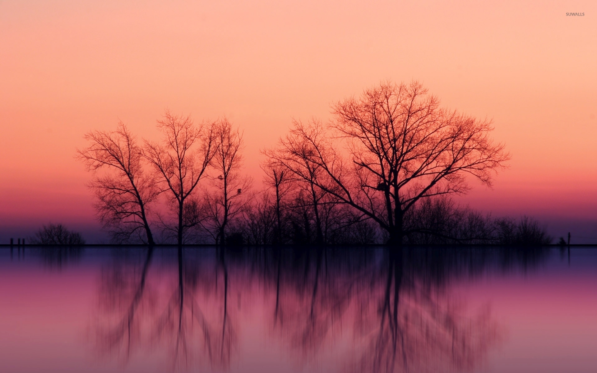 Tree Reflection In Lake Wallpapers