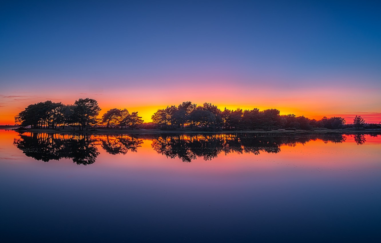 Tree Reflection In Lake Wallpapers