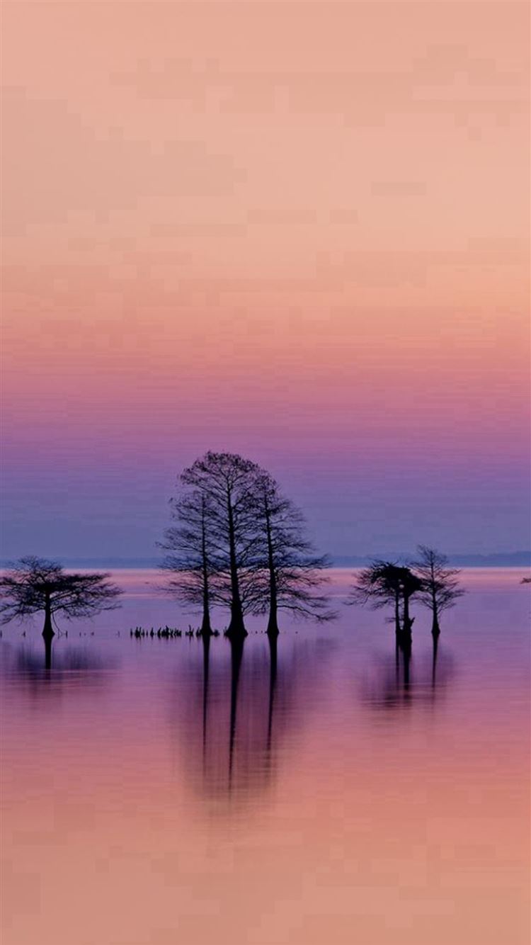 Tree Reflection In Lake Wallpapers