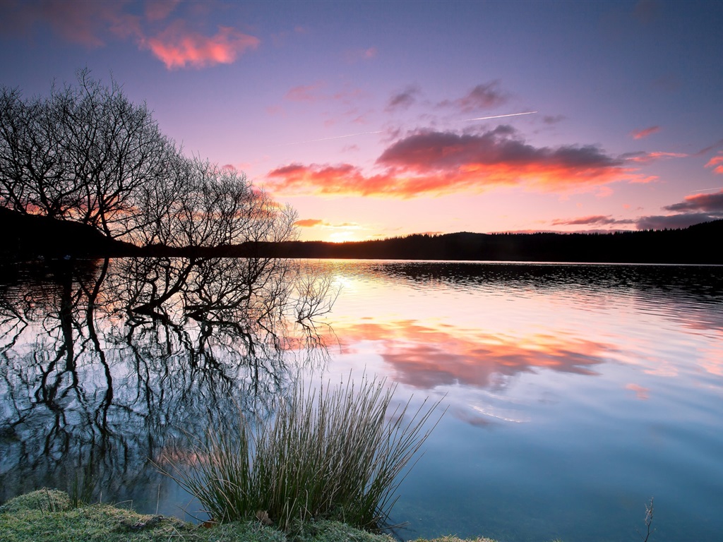 Tree Reflection In Lake Wallpapers