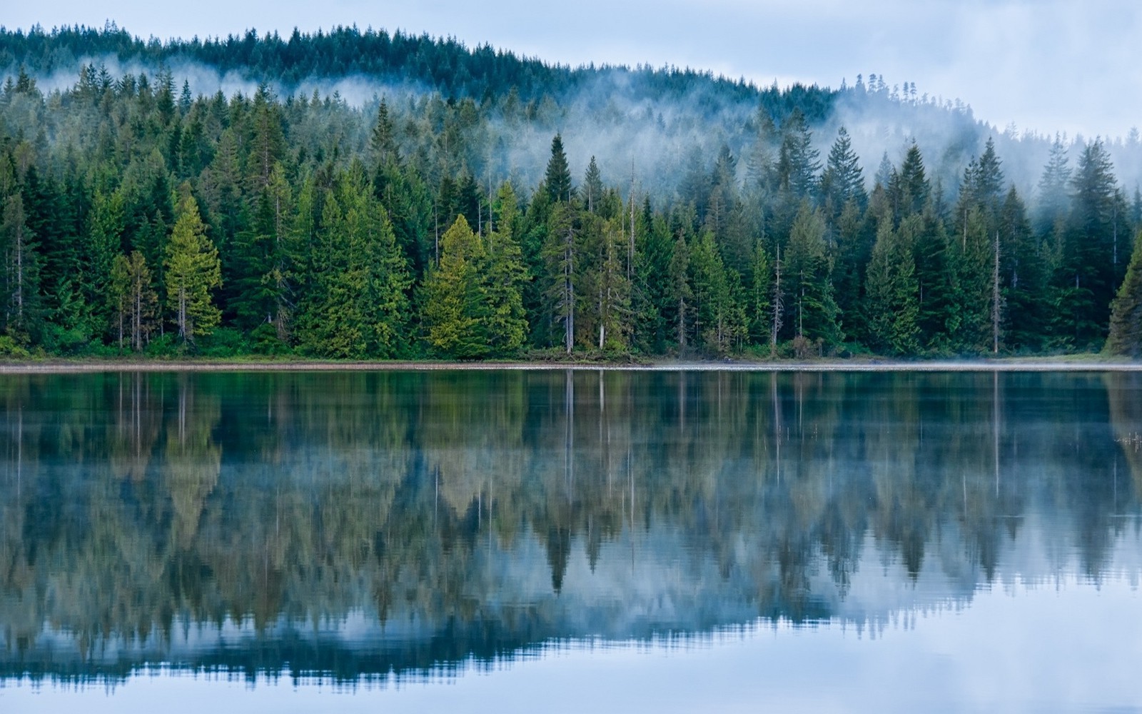 Tree Reflection In Lake Wallpapers