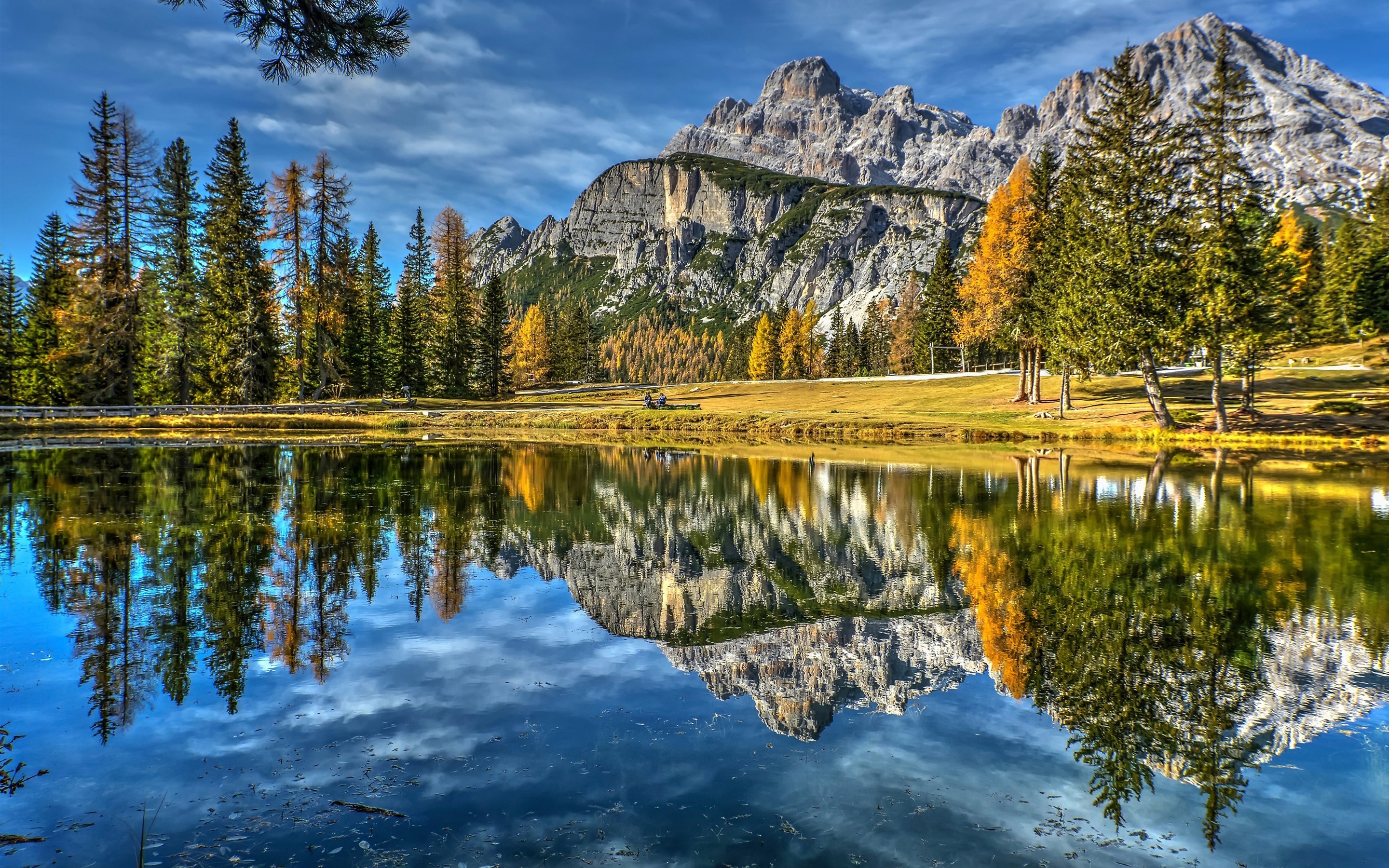 Tree Reflection In Lake Wallpapers