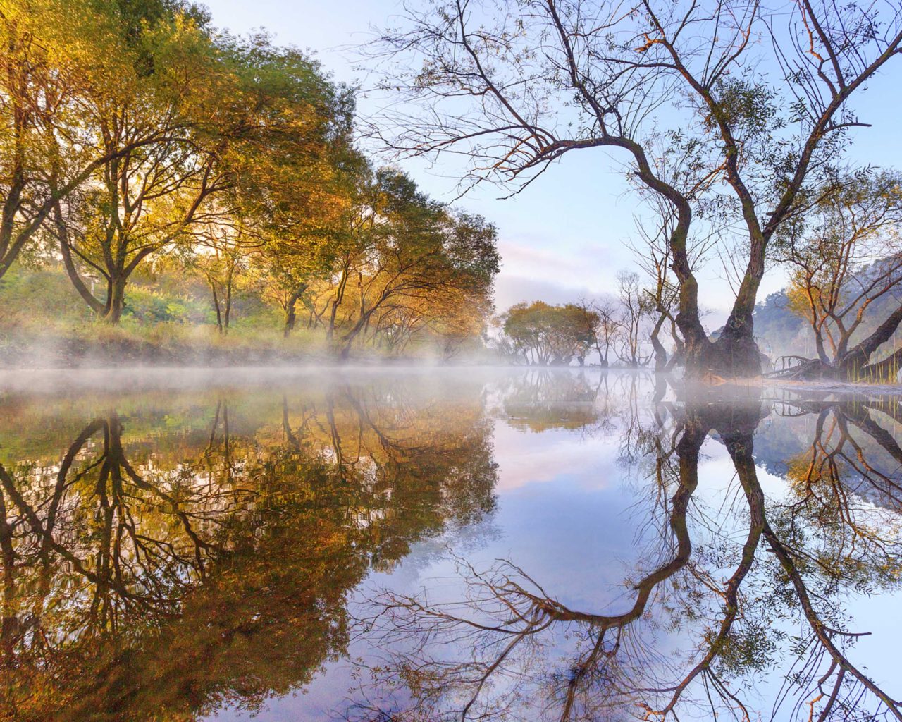 Tree Reflection In Lake Wallpapers