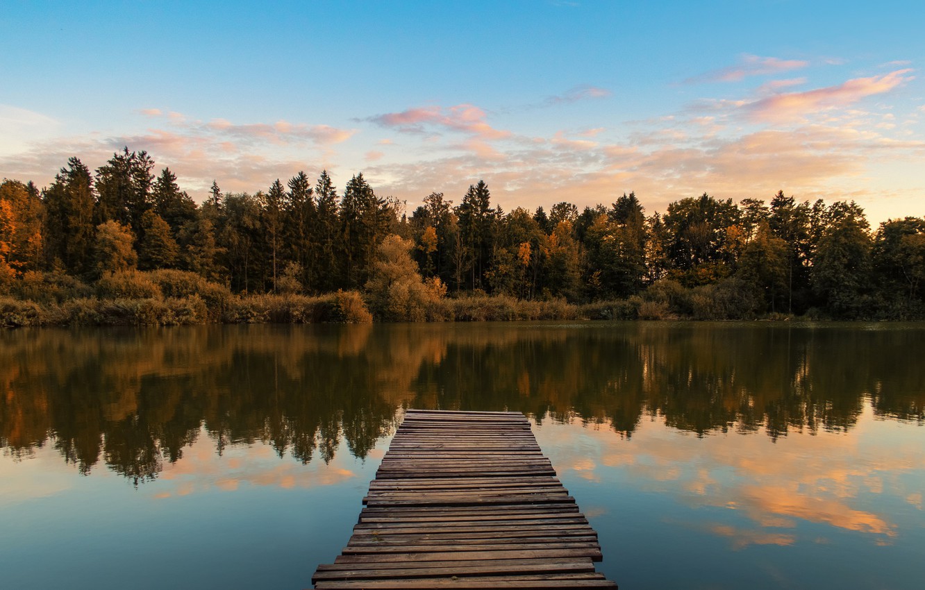 Tree Reflection In Lake Wallpapers