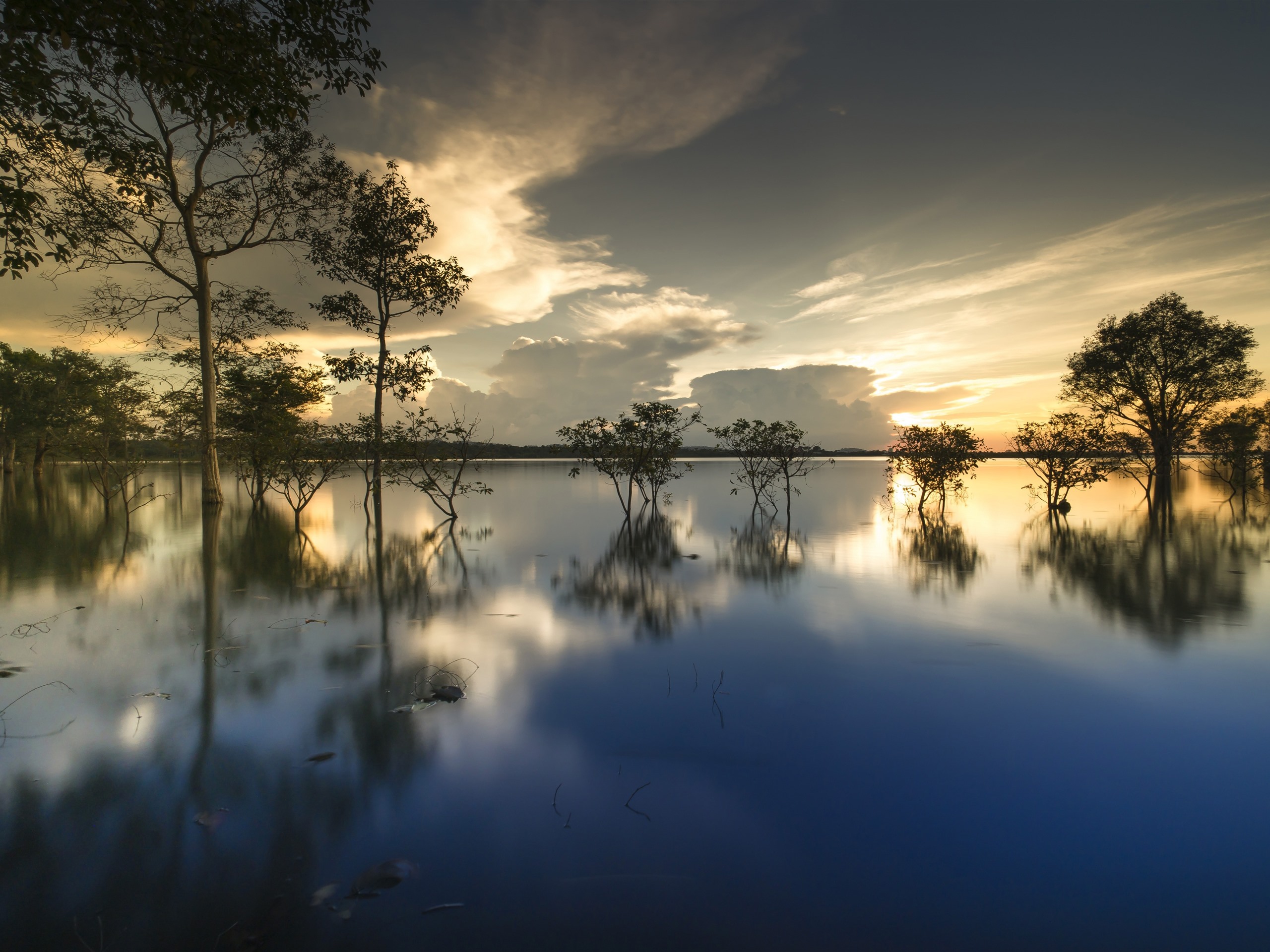 Tree Reflection In Lake Wallpapers