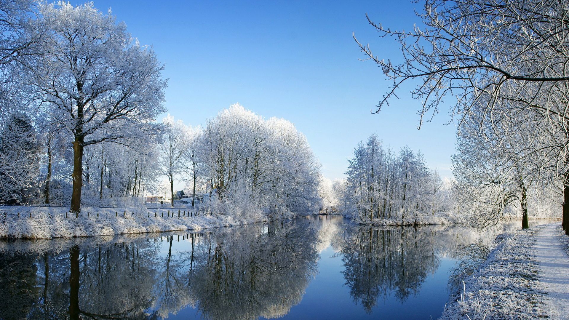 Tree Reflection In Lake Wallpapers