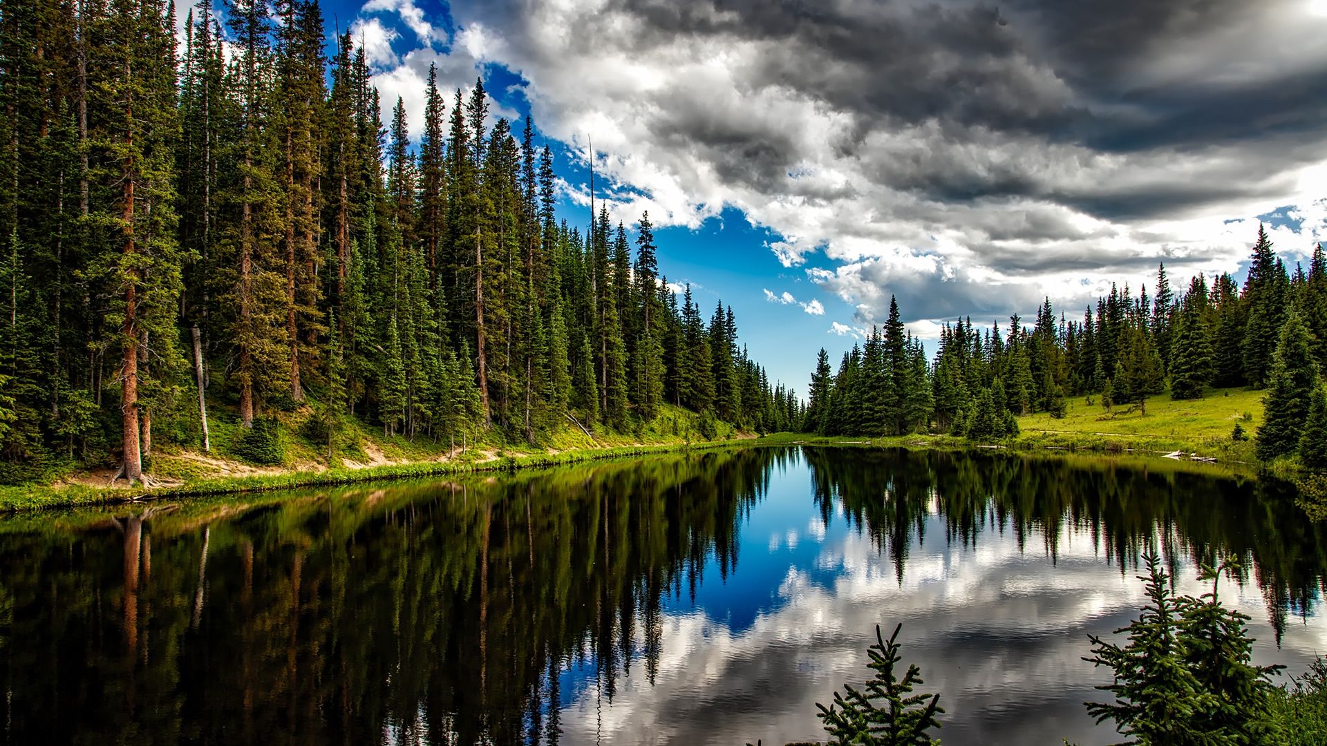 Tree Reflection In Lake Wallpapers