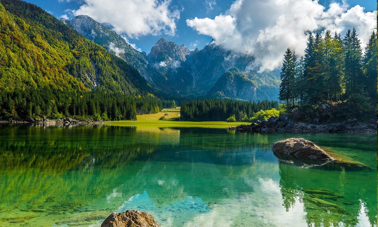 Tree Reflection In Lake Wallpapers