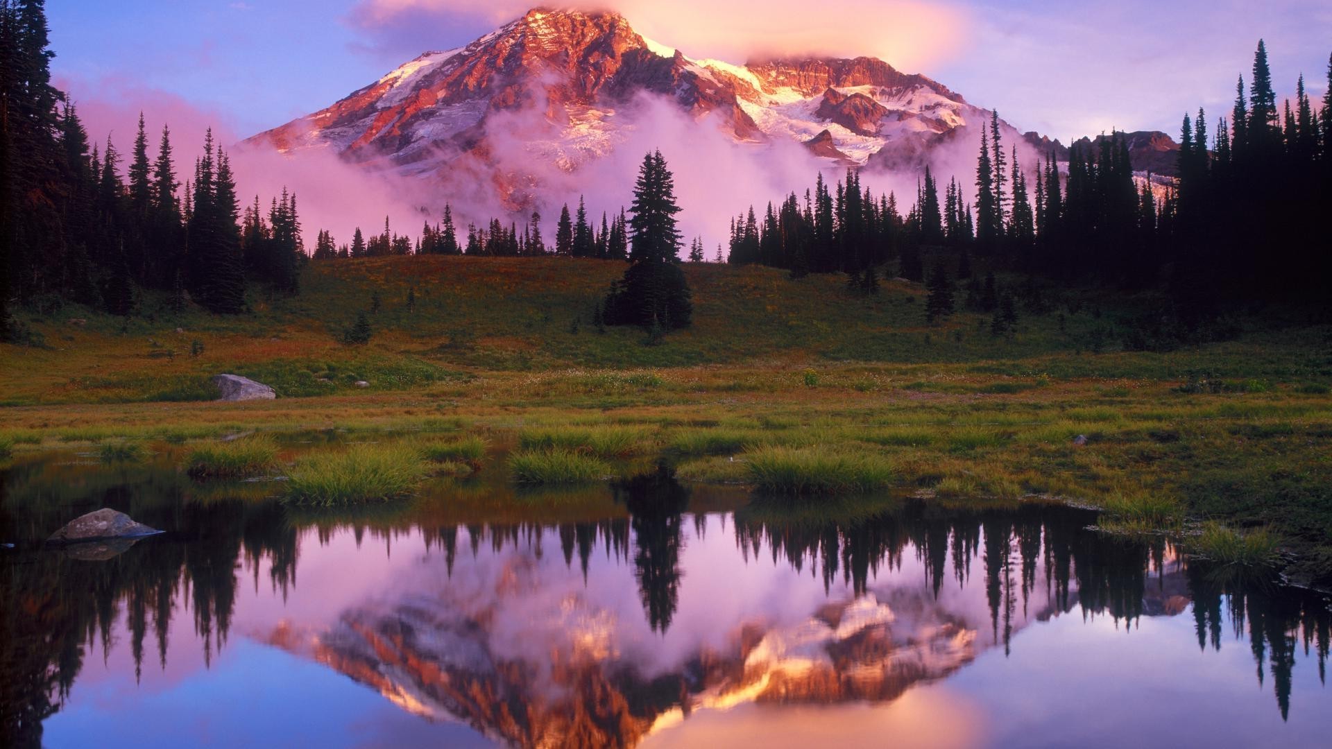 Tree Reflection In Lake Wallpapers