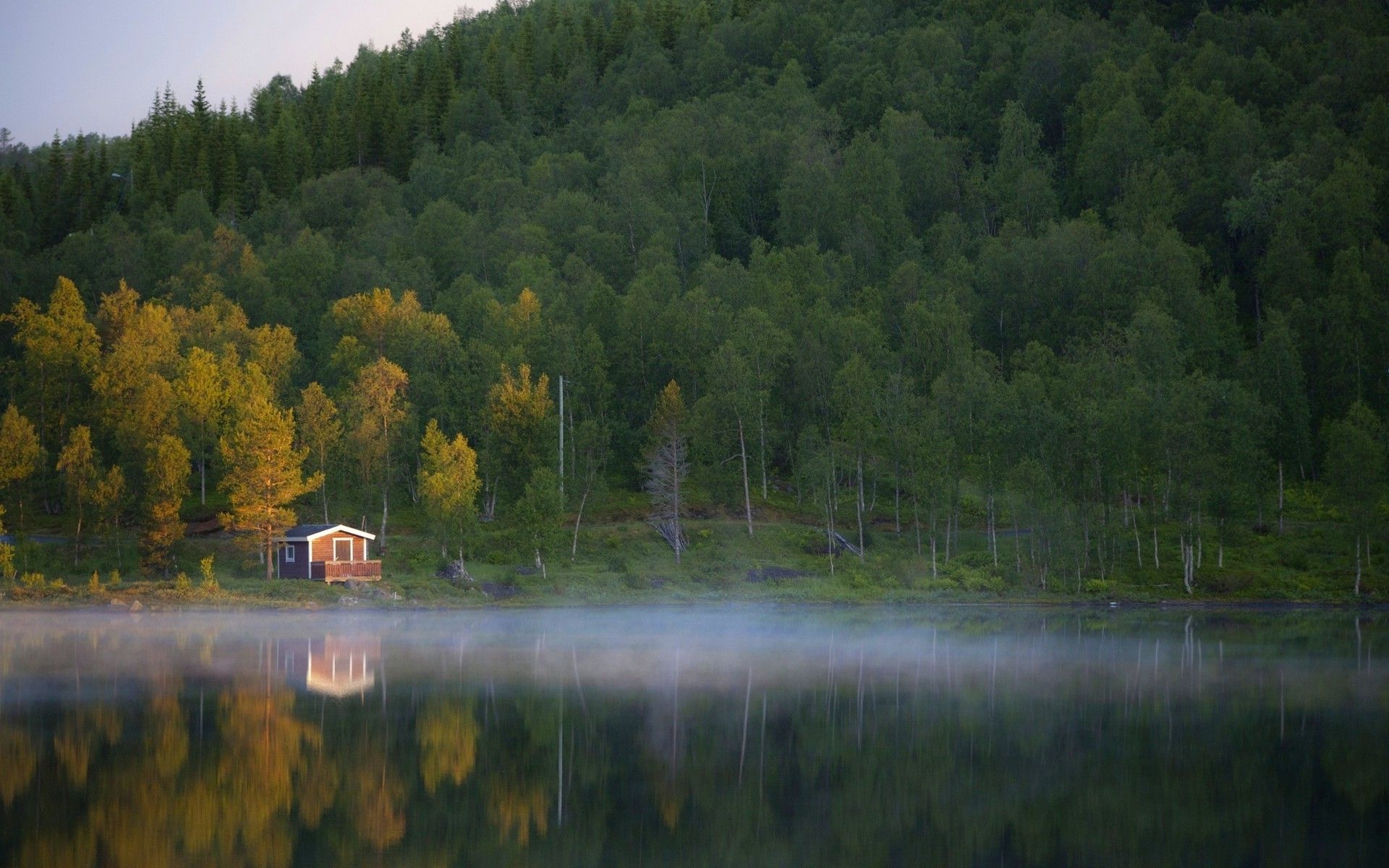 Tree Reflection In Lake Wallpapers